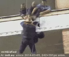 #Wtf #Was #Embarrassing #Pretty [Wtf] That was pretty embarrassing GIF (Image of album My r/WTF favs))