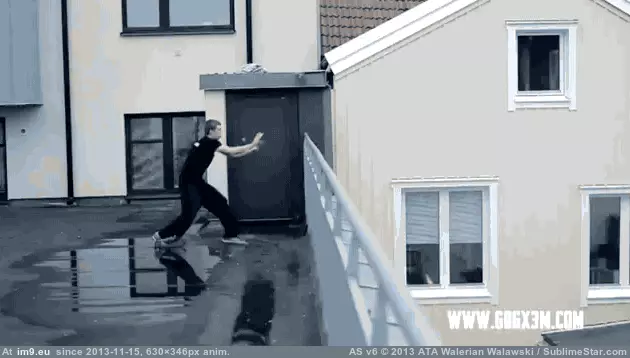 #Wtf #Natural #Elusive #Parkour #Tard #Habitat [Wtf] The elusive parkour-tard in it's natural habitat... GIF (Imagen de album My r/WTF favs))