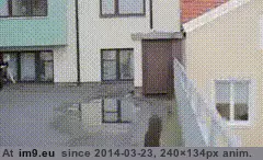 #Wtf #Way #Was [Wtf] There was no way this was ending well. GIF (Obraz z album My r/WTF favs))