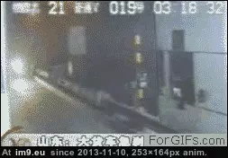 #Wtf #Load #Oversized #Crushes #Truck #Driver [Wtf] Truck's oversized load crushes driver. GIF (Image de album My r/WTF favs))