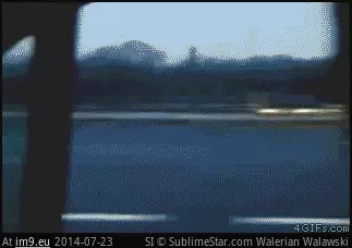 #Gifs #Fucks #Trucker #Wtf [Wtf] Trucker gives 0 fucks. ( -r-gifs) GIF (Bild von album My r/WTF favs))