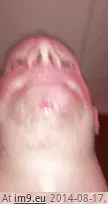 #Wtf #Mrsa #Tuesdays [Wtf] Tuesdays with MRSA 1 GIF (Obraz z album My r/WTF favs))