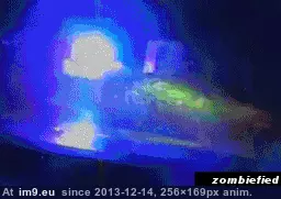 #Wtf #Wait #For [Wtf] Wait for it GIF (Image of album My r/WTF favs))