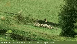 #Wtf #Step #Watch [Wtf] Watch your step GIF (Image of album My r/WTF favs))