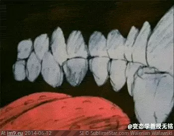 #Wtf #Disturbing #Kinda [Wtf] well that's kinda disturbing GIF (Image of album My r/WTF favs))