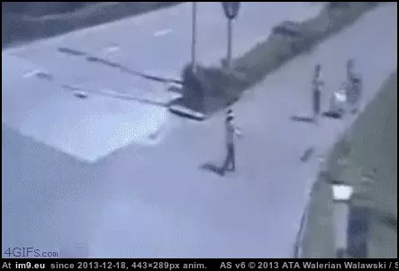 #Wtf #Chances #Are [Wtf] What are the chances? GIF (Bild von album My r/WTF favs))