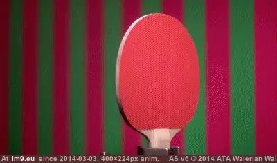 #Wtf #Ball #Paddle #Ping #Pong #Hits #Stationary [Wtf] What happens when a 1100mph ping pong ball hits a stationary paddle? GIF (Image de album My r/WTF favs))
