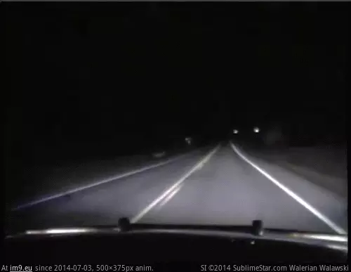 #Wtf #Hit #90mph #Deer #Cop [Wtf] What happens when a deer gets hit by a cop doing ~90mph GIF (Image de album My r/WTF favs))