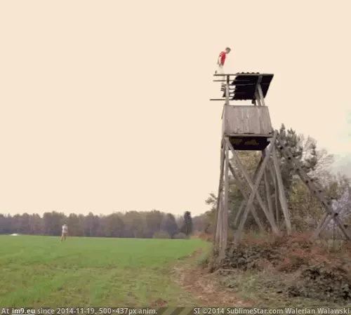 #Wtf #Flying #Fuck [Wtf] What the flying fuck GIF (Imagen de album My r/WTF favs))