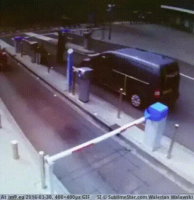 #Wtf  #Thinking [Wtf] What was she even thinking? GIF (Obraz z album My r/WTF favs))