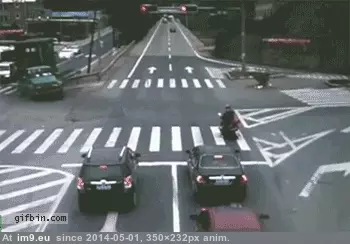 #Wtf #Eyes #Flash #Life [Wtf] When you see your life flash before your eyes. GIF (Obraz z album My r/WTF favs))