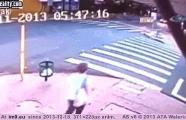 #Wtf #Place #Wrong #Time [Wtf] Wrong Place at the Wrong Time GIF (Image de album My r/WTF favs))