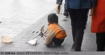 #Wtf  #Yippee [Wtf] yippee GIF (Image de album My r/WTF favs))
