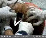 #Wtf #Jokes #Hear [Wtf] You hear jokes about this but..... GIF (Image of album My r/WTF favs))