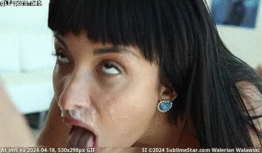 #Porn #Pussy #Animated #Xxx #Hardcore #Anal #Gifs #XxxGIF #Sex #Fucked #Cum xxxGif: Anissa Kate Cum Glazed - XXX Gif Porn GIF (Obraz z album Porn Gifs animated XXX)