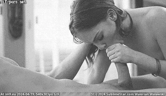 #Porn #Pussy #Gif #Ass #Animated #Xxx #Hardcore #Xxxgif #Fucked #Sucking xxxGif: Dani Jensen Suckng Cock With Passion - XXX Gif Porn GIF (Image of album Porn Gifs animated XXX)