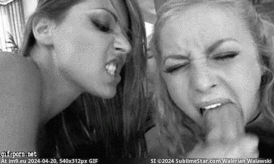 #Porn #Hot #Animated #Xxx #Hardcore #Gifs #XxxGIF #Sex #Fucked xxxGif: Hot Trheesome With Cindy Hope Dimenzije - XXX Gif Porn GIF (Image de album Porn Gifs animated XXX)